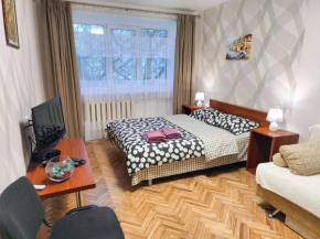 Bright and cozy apartments in the center